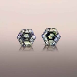 Tanzanite pair unheated hexagonal cut