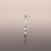 Paraiba Cross_2