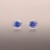 Tanzanite Round Earring Studs in White Gold
