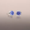 Tanzanite Round Earring Studs in White Gold